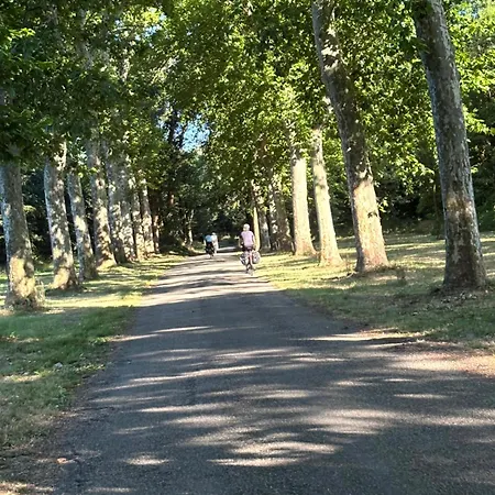 Camping Domaine De Senaud *